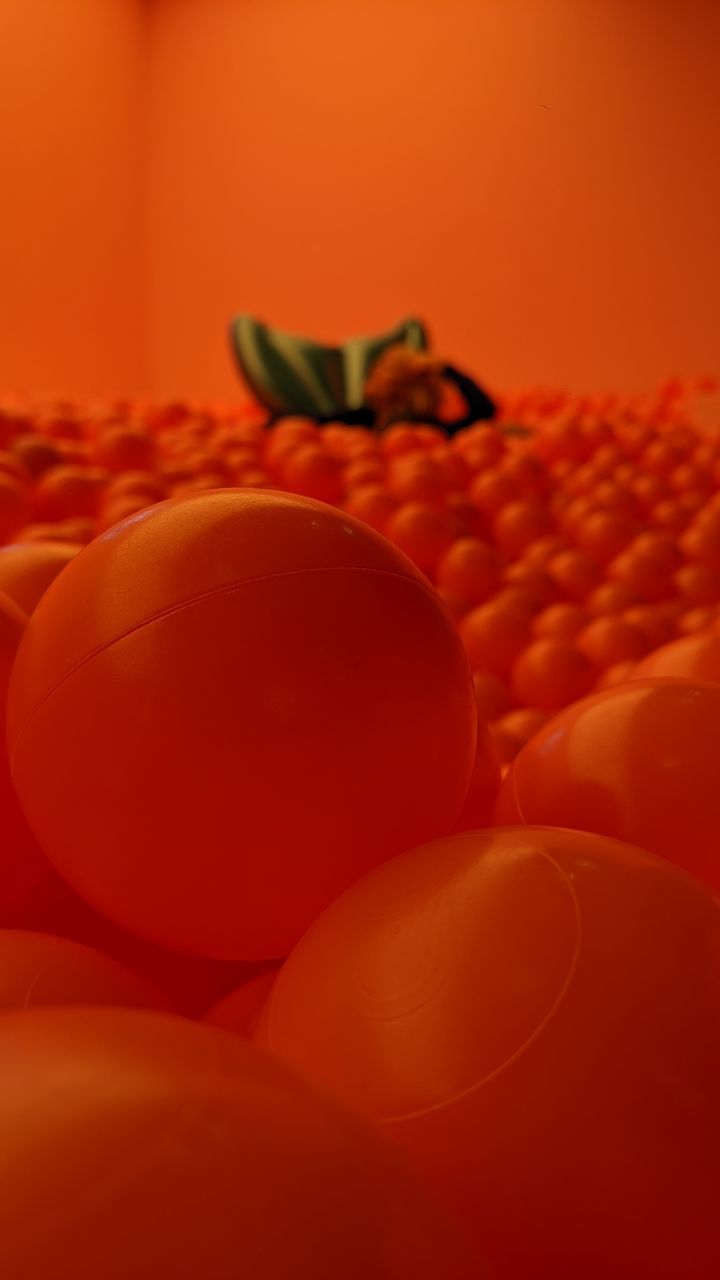 CLOSE-UP OF ORANGE SLICES ON TABLE