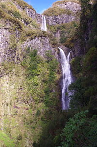 Scenic view of waterfall in forest