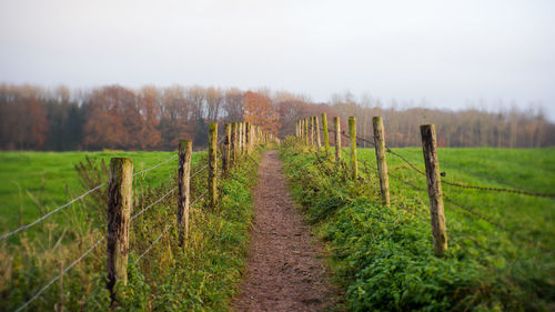 Scenic view of vineyard against sky