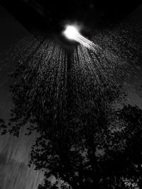 night