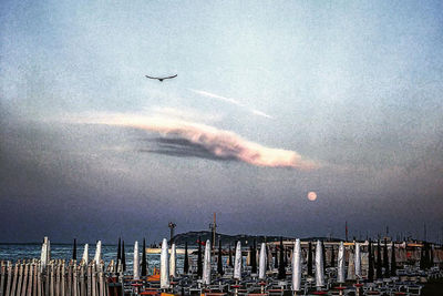 Airplane flying over sea against sky