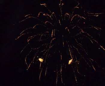 Firework display at night