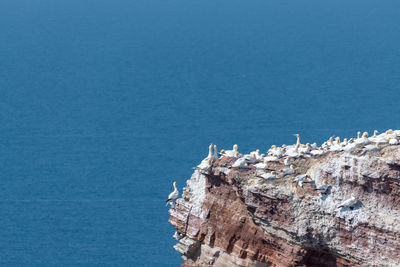 Aerial view of sea and rocks