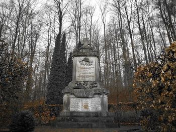 Low angle view of statue in forest