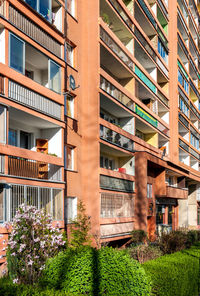 Low angle view of building by plants in city