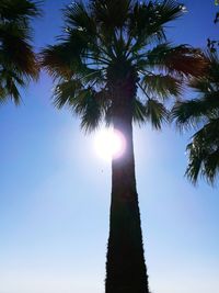 Low angle view of coconut palm trees against clear sky