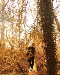 Man on tree against sky during sunset