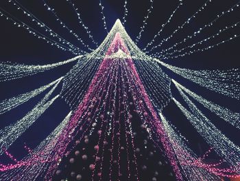 Low angle view of illuminated christmas tree at night