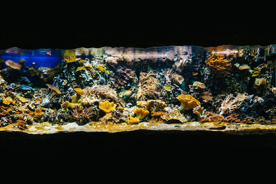 High angle view of illuminated cityscape