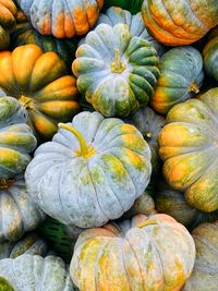 Délicious pumpkins