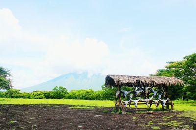 Panoramic view of field against sky