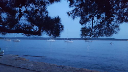 Boats in sea