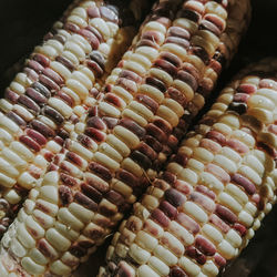 High angle view of sausages