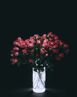 Close-up of flower vase against black background