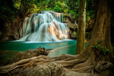 Scenic view of waterfall in forest