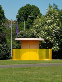 Yellow flowers in park against building