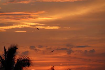 Silhouette birds flying in sky during sunset