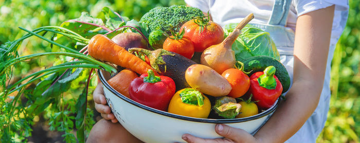 Close-up of salad in bowl