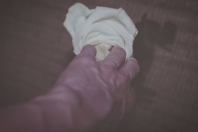 Close-up of hand holding rose flower