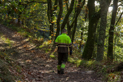 Lumberjack or forest worker walking through the forest