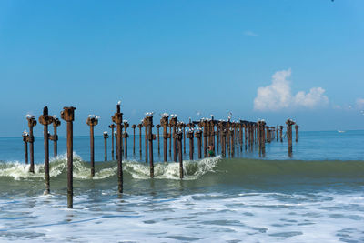 Wooden posts on beach against blue sky
