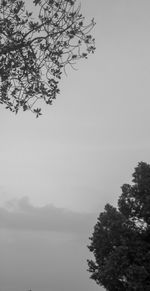 Silhouette tree by mountains against sky