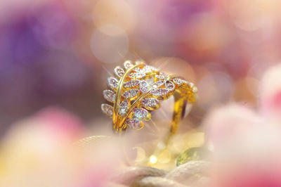 Close-up of wedding rings on the table