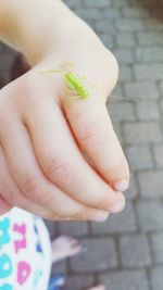 Close-up of cropped hand
