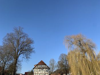 Low angle view of trees and building against clear blue sky