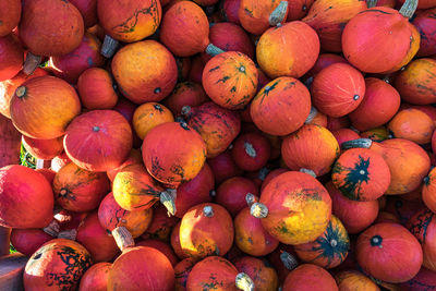 Full frame shot of pumpkins for sale at market