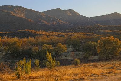 Scenic view of landscape against sky during autumn