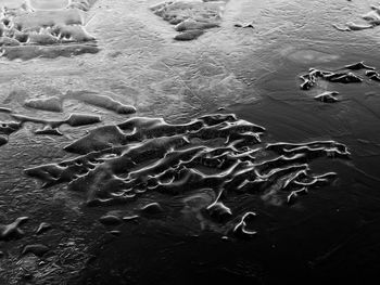 Beautiful black and white nature abstract of ice in a lake