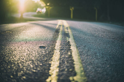 Surface level of road at forest during sunny day