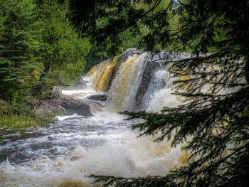 Blurred motion of waterfall amidst trees in forest