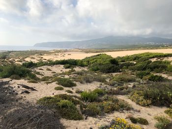 Scenic view of landscape and sea against sky