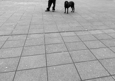 Low section of people walking on footpath