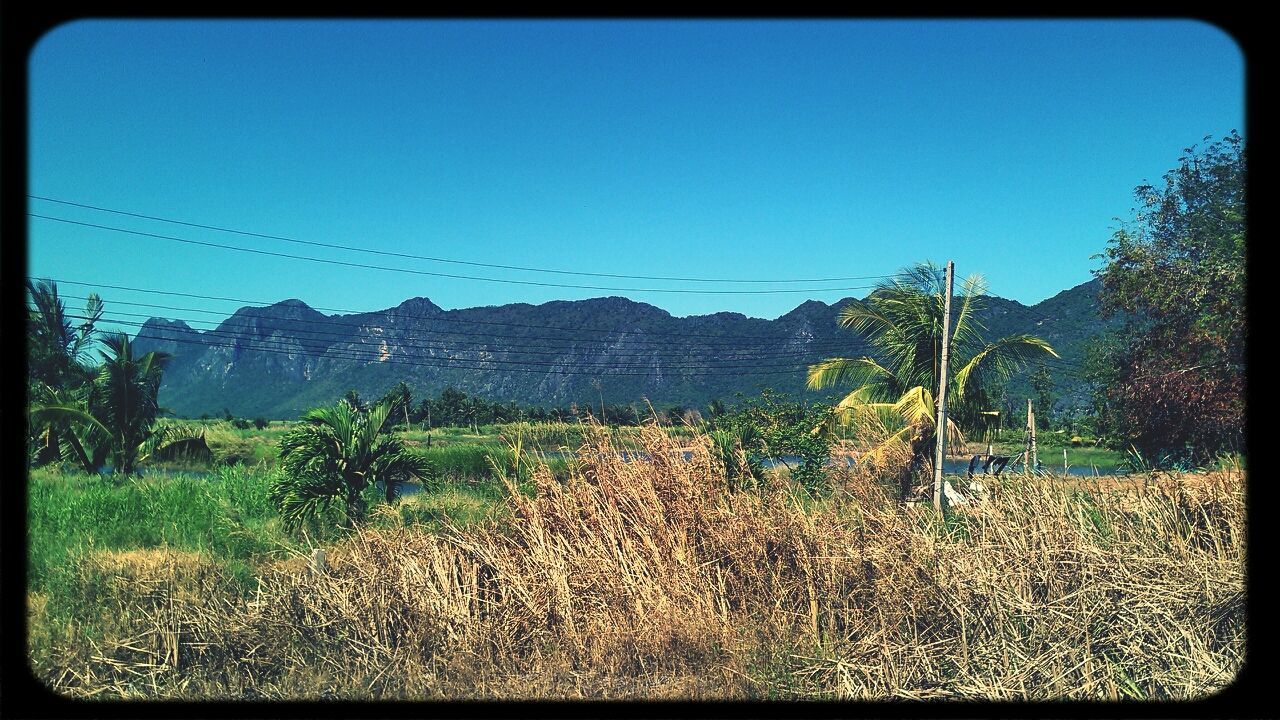 transfer print, clear sky, landscape, blue, field, tranquil scene, auto post production filter, tranquility, mountain, scenics, nature, rural scene, copy space, sky, beauty in nature, plant, power line, grass, tree, non-urban scene