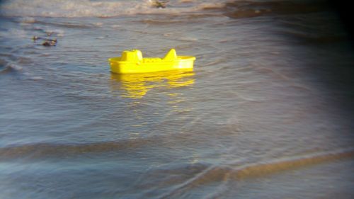 Close-up of yellow floating on water
