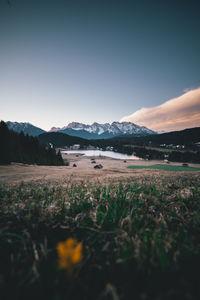 Scenic view of field against sky during sunset
