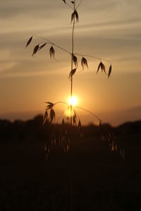 Silhouette landscape against sunset