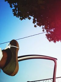 Low angle view of tree against clear sky