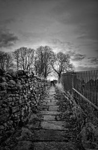 Footpath amidst bare trees against sky