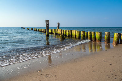 Wooden posts on beach against clear sky