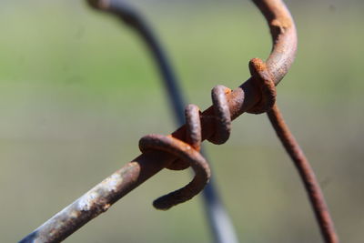 Close-up of rusty metal fence against blurred background
