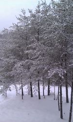 Scenic view of snow covered landscape