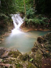 Scenic view of waterfall in forest