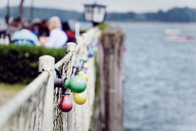 Close-up of grapes hanging on railing by sea