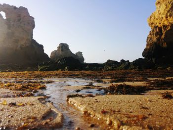 Surface level of rocks on shore against clear sky