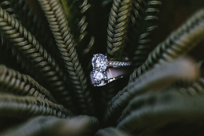 Close-up of rings on braided hair