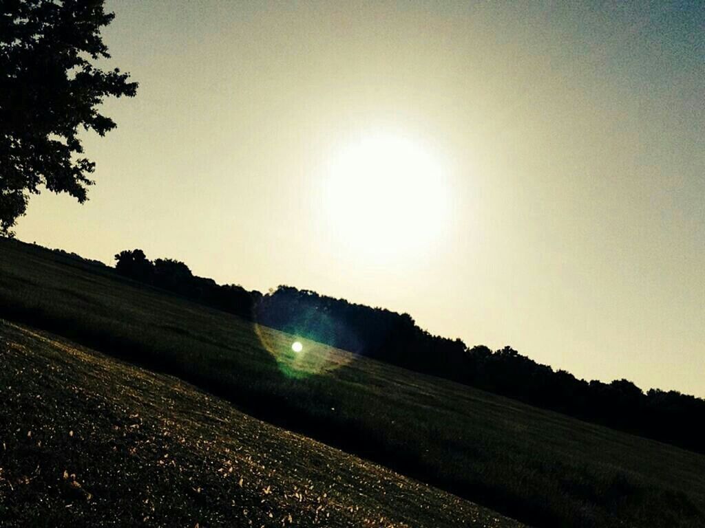 sun, lens flare, sunlight, clear sky, sunbeam, tranquility, tree, tranquil scene, landscape, sky, silhouette, nature, beauty in nature, copy space, scenics, built structure, sunset, bright, field, sunny